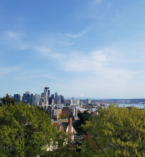 Seattle View 500x540